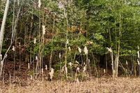 Property for sale in Cherokee County, North Carolina