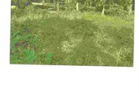 Property for sale in Benton County, Arkansas