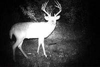 Property for sale in Franklin County, Kansas