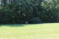 Undeveloped Land for sale in Coles County, Illinois