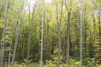 Property for sale in LaPorte County, Indiana