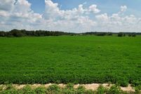 Property for sale in Houston County, Alabama