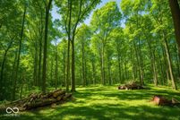 Undeveloped Land for sale in Brown County, Indiana