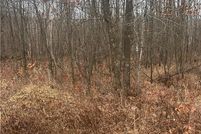 Undeveloped Land for sale in Morrison County, Minnesota