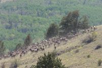 Property for sale in Park County, Colorado