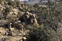 Property for sale in Yavapai County, Arizona