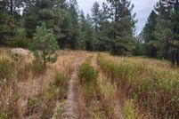 Undeveloped Land for sale in Stevens County, Washington