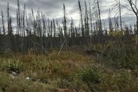 Property for sale in Forest County, Wisconsin