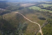 Undeveloped Land for sale in Greene County, Mississippi