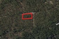 Undeveloped Land for sale in Hoke County, North Carolina