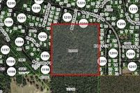 Undeveloped Land for sale in Citrus County, Florida
