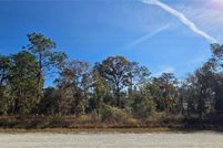 Undeveloped Land for sale in Hernando County, Florida