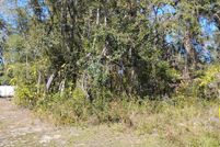 Undeveloped Land for sale in Marion County, Florida