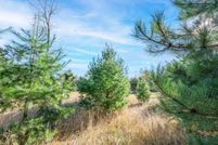 Undeveloped Land for sale in Wexford County, Michigan
