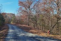 Property for sale in Fannin County, Georgia