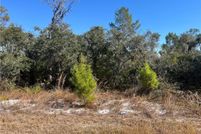 Undeveloped Land for sale in Highlands County, Florida