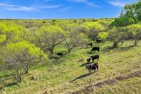 Ranch Property for sale in Eastland County, Texas