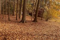 Property for sale in York County, South Carolina