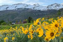 Undeveloped Land for sale in Utah County, Utah