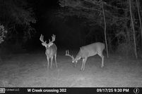 Property for sale in Claiborne County, Mississippi