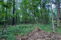 Undeveloped Land for sale in Franklin County, Mississippi