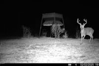 Undeveloped Land for sale in Catahoula Parish, Louisiana