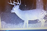 Property for sale in Wilkinson County, Mississippi