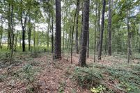 Property for sale in Newton County, Mississippi