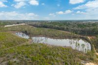Lakefront Property for sale in Stone County, Mississippi
