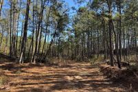 Undeveloped Land for sale in Pike County, Mississippi