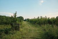 Undeveloped Land for sale in Smith County, Mississippi