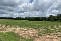 Property for sale in George County, Mississippi