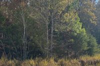 Property for sale in Marshall County, Mississippi