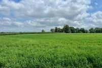 Property for sale in Chester County, Pennsylvania