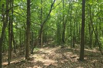 Undeveloped Land for sale in Scioto County, Ohio