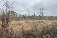 Farm Property for sale in Washington County, Florida