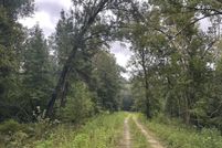 Undeveloped Land for sale in Gulf County, Florida