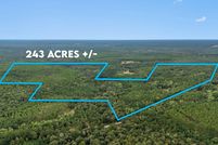 Undeveloped Land for sale in Okaloosa County, Florida