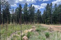Undeveloped Land for sale in San Miguel County, New Mexico