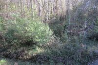 Undeveloped Land for sale in Walton County, Florida