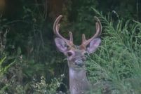 Property for sale in Holmes County, Florida