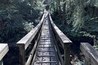 Undeveloped Land for sale in Clatsop County, Oregon