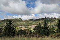 Residential Property for sale in Douglas County, Oregon