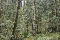 Property for sale in Cowlitz County, Washington