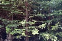 Property for sale in Coos County, Oregon