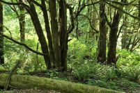 Undeveloped Land for sale in Coos County, Oregon
