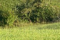 Property for sale in Lake County, Indiana