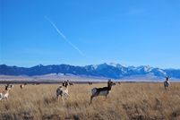 Property for sale in Madison County, Montana