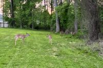 Undeveloped Land for sale in Fairfax County, Virginia