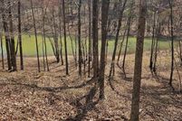 Undeveloped Land for sale in Winston County, Alabama